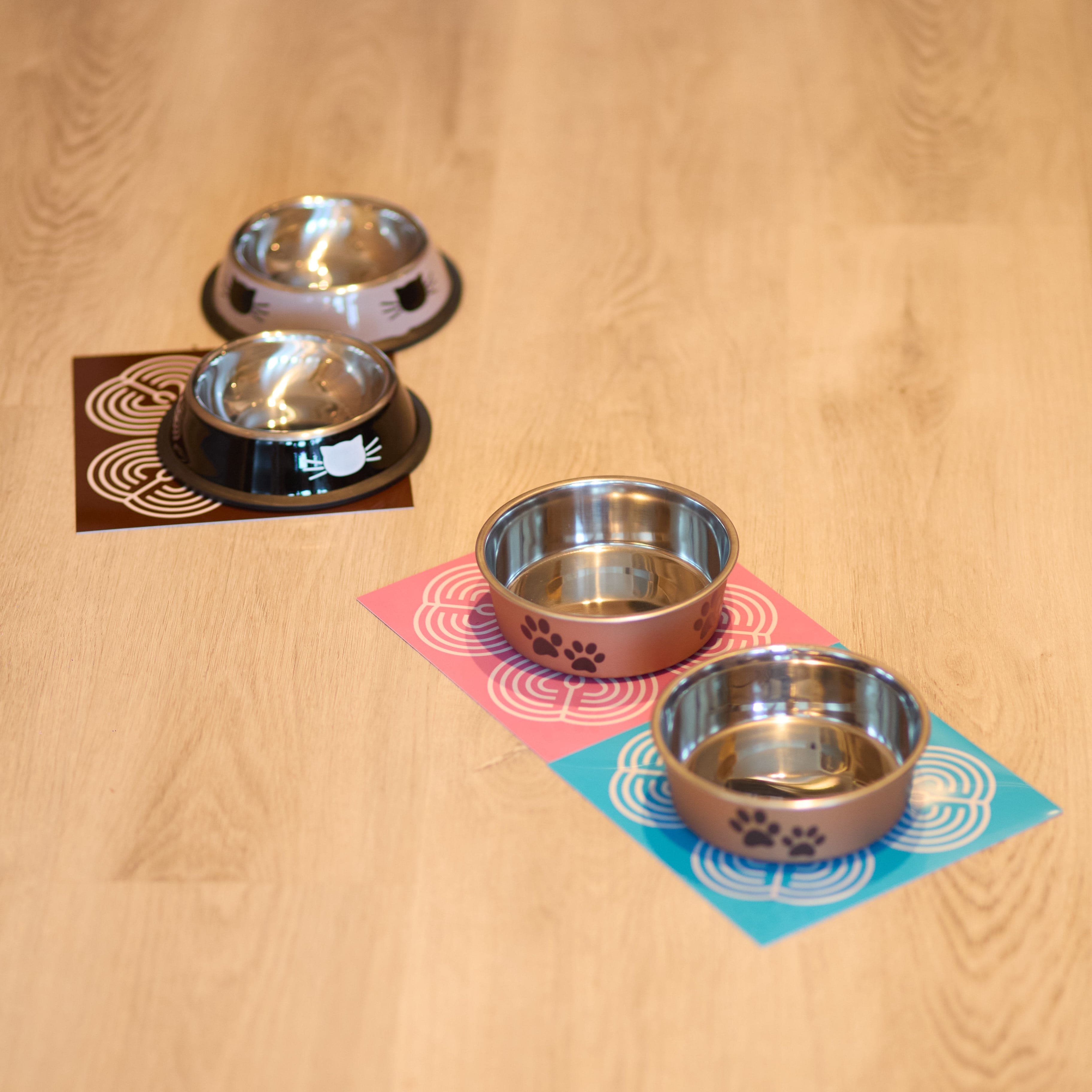 Оберег для питомцев, забота о домашних любимцах, здоровье животных